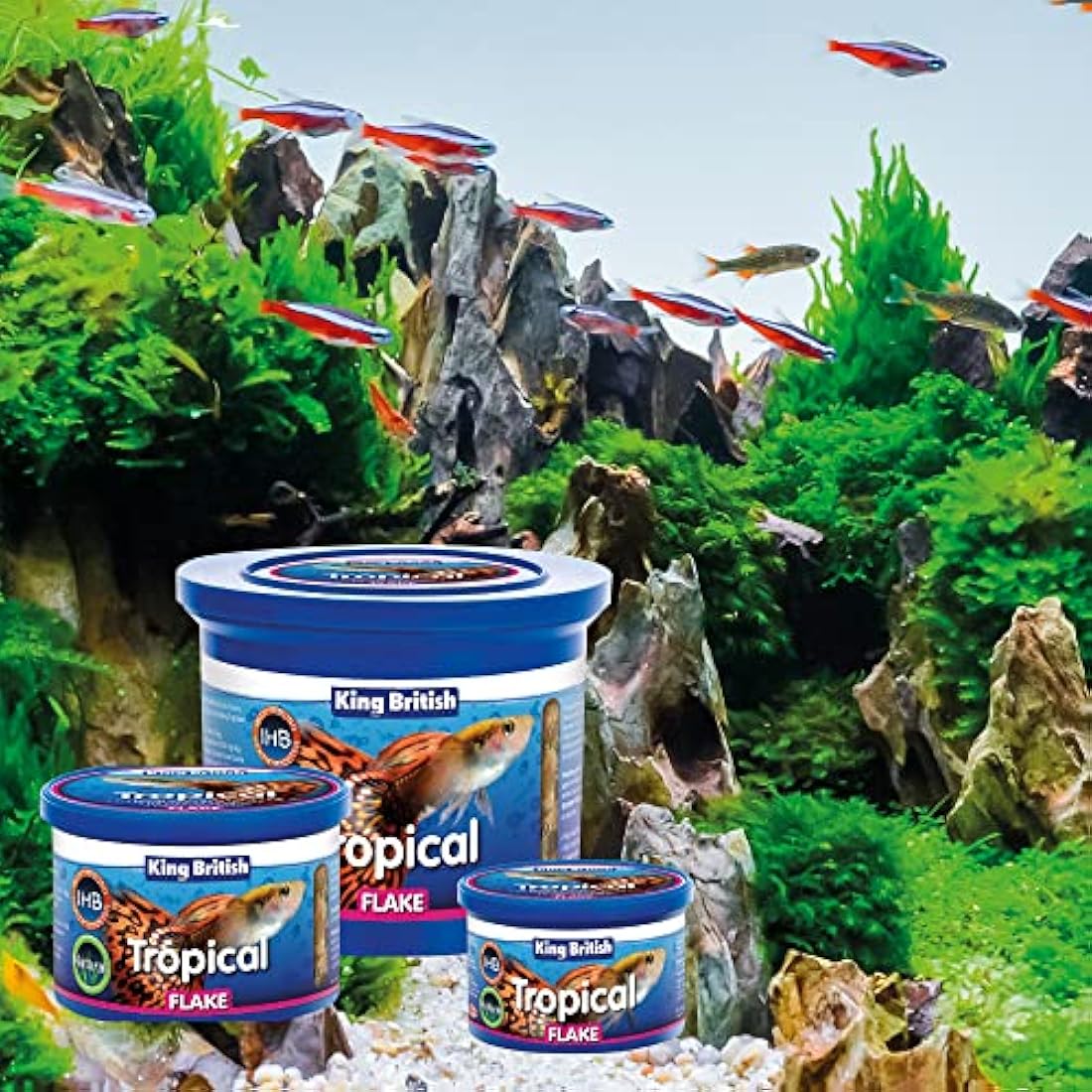 King British Tropical Fish Flake Food with Immuno Health Booster – 28g