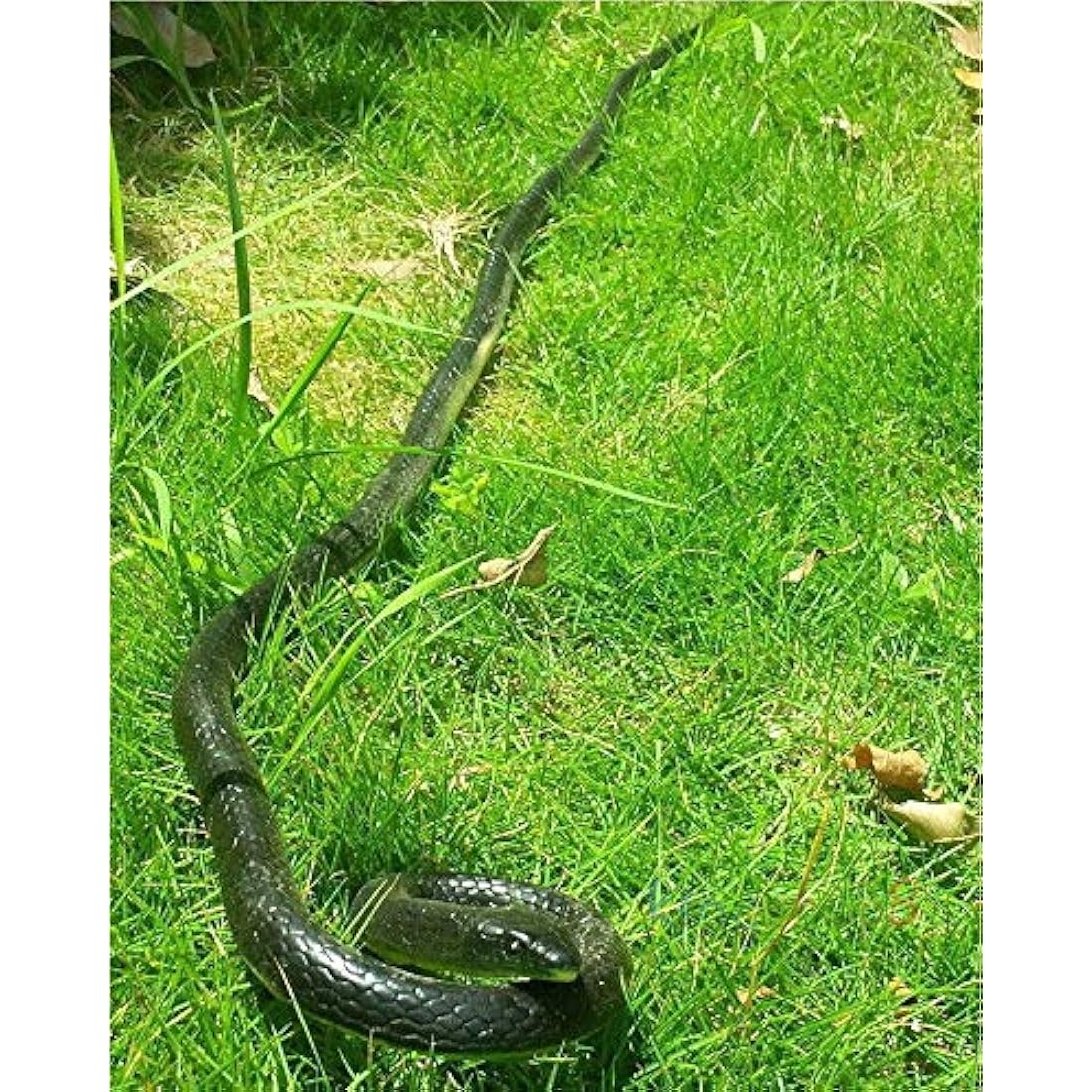 130cm Realistic Rubber Snake – Large Lifelike Garden Prank Toy