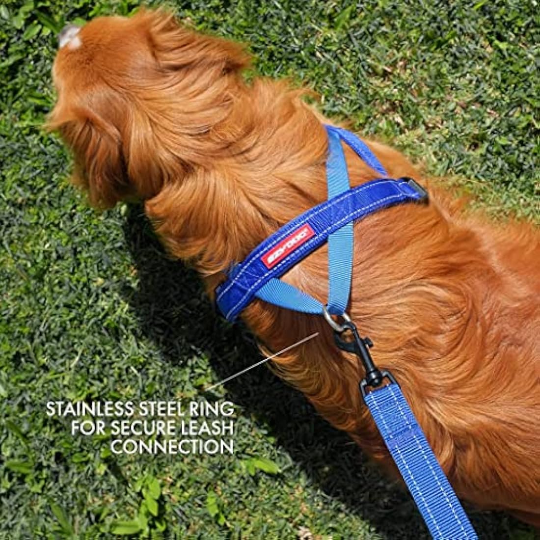 EzyDog Quick Fit No Pull Dog Harness | Reflective Corduroy - Jolof Store