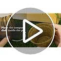 Gift Republic Grow Your Own Bonsai Tree Kit - DIY Gardening Gift Set