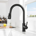 DERW Black Kitchen Mixer Tap | Pull Out Sprayer Stainless Steel