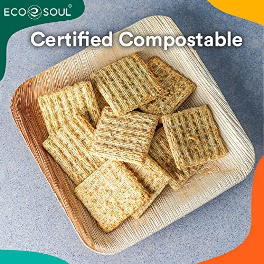 Jolof Store 100ct Palm Leaf Plates – 6 Inch Square Compostable Tableware