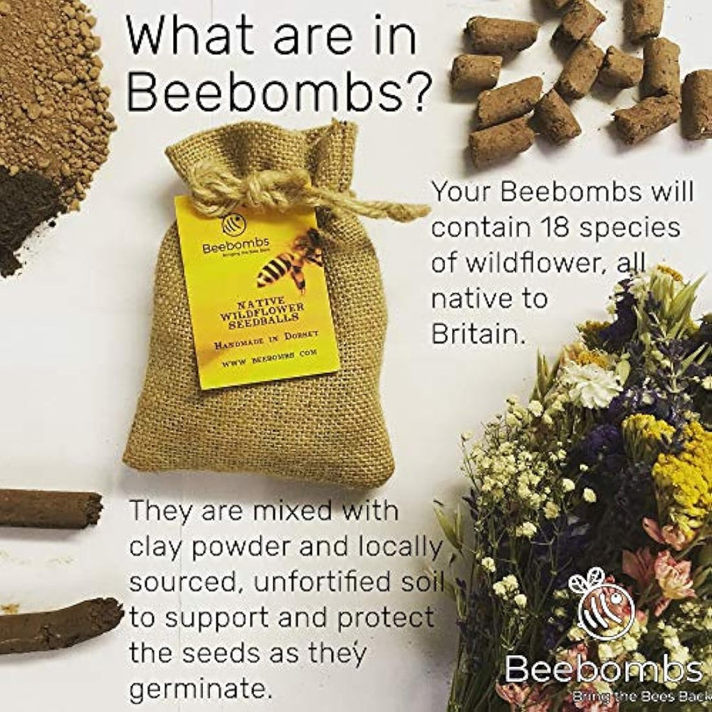Beebombs Wildflower Seed Balls – UK Native Mix for Bees (21sqft)
