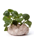 SEINHIJO Ceramic Succulent Planter Pot - Modern Pink Indoor Decor 18cm