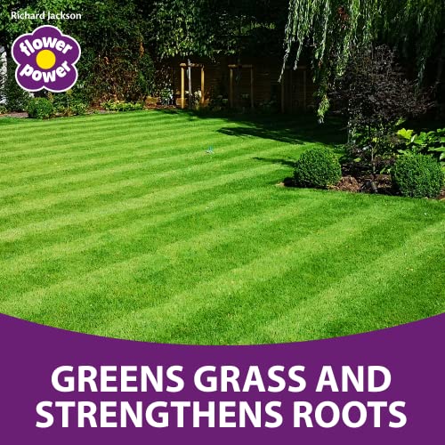 Richard Jackson Lawn Magic | Liquid Lawn Feed with Seaweed Extract (5L)
