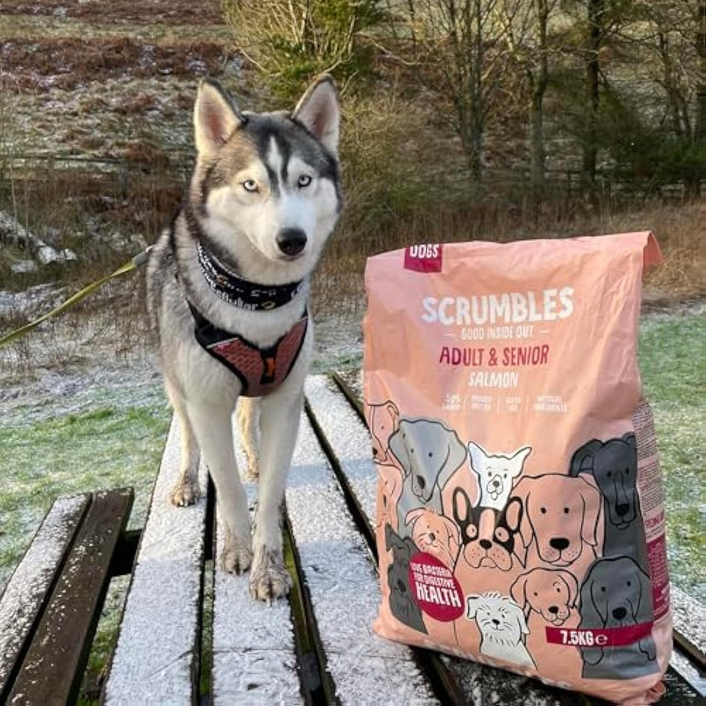 Scrumbles Grain Free Salmon Dry Dog Food for Sensitive Digestion – 7.5kg