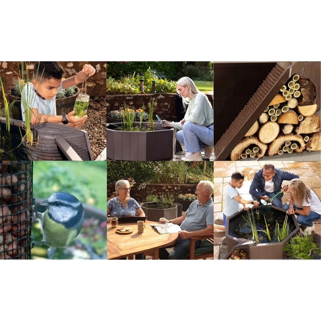 Blagdon Liberty No Dig Raised Pond | Solar Fountain & Wildlife Ladder