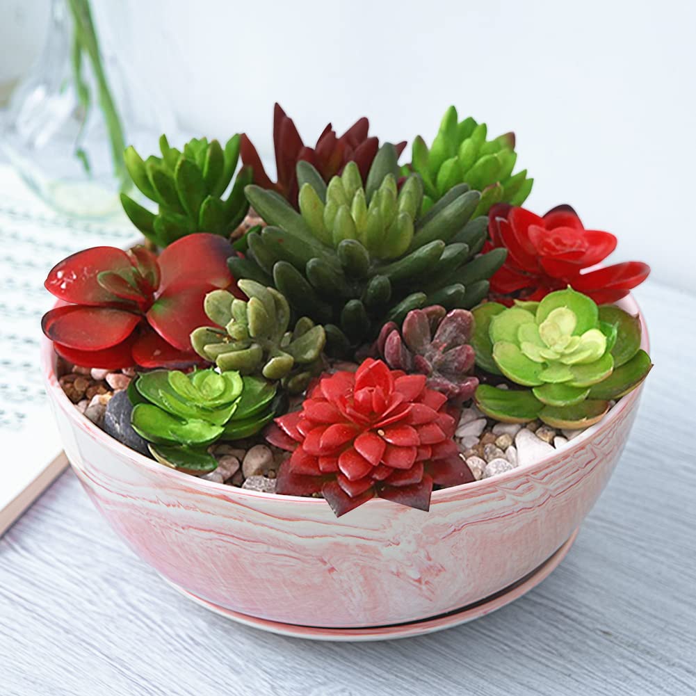 EPGardening 10-Inch Marble Ceramic Succulent Planter Pot with Tray