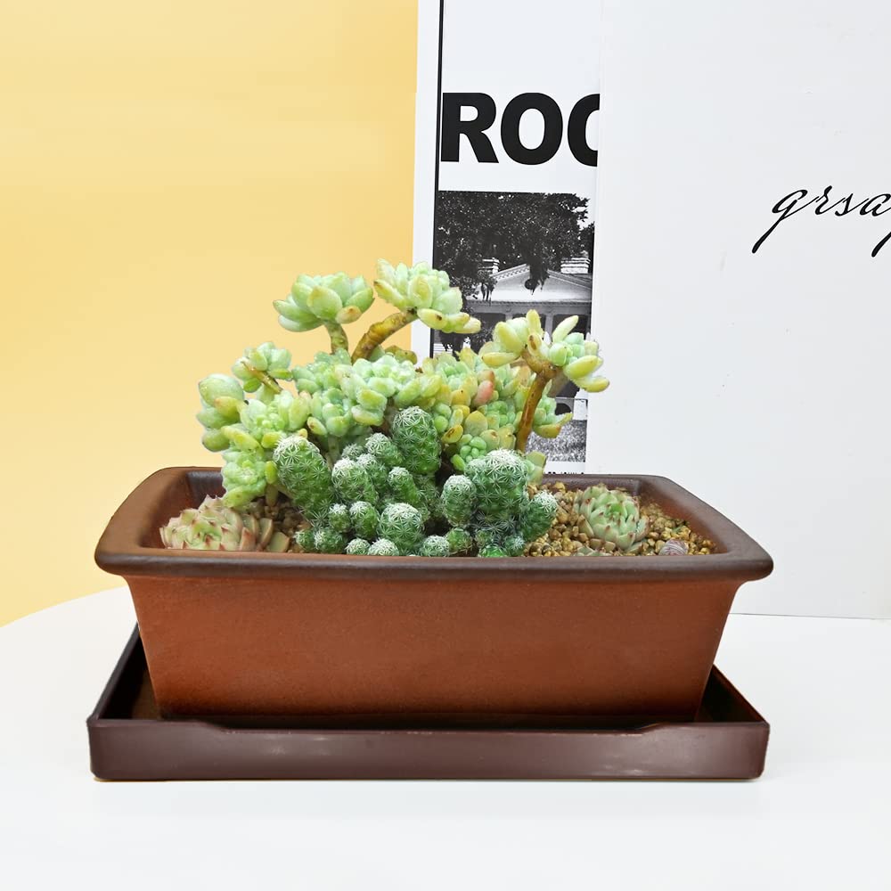 MUZHI 8.5 Inch Zisha Clay Bonsai Planter Pot with Tray - Unglazed Rectangle