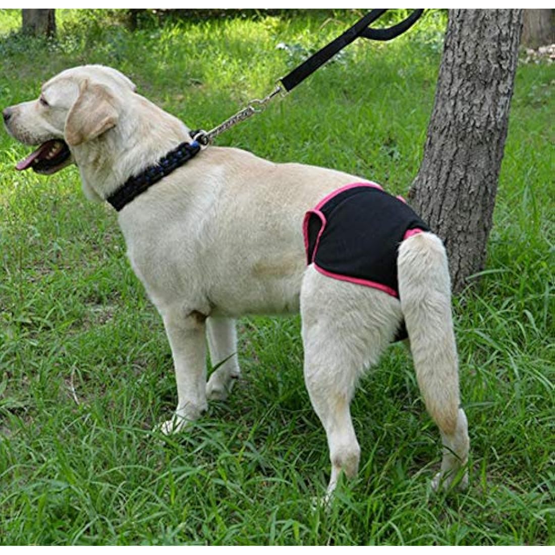 Diyafas Reusable Female Dog Diapers – 2 Pack Washable Sanitary Pants