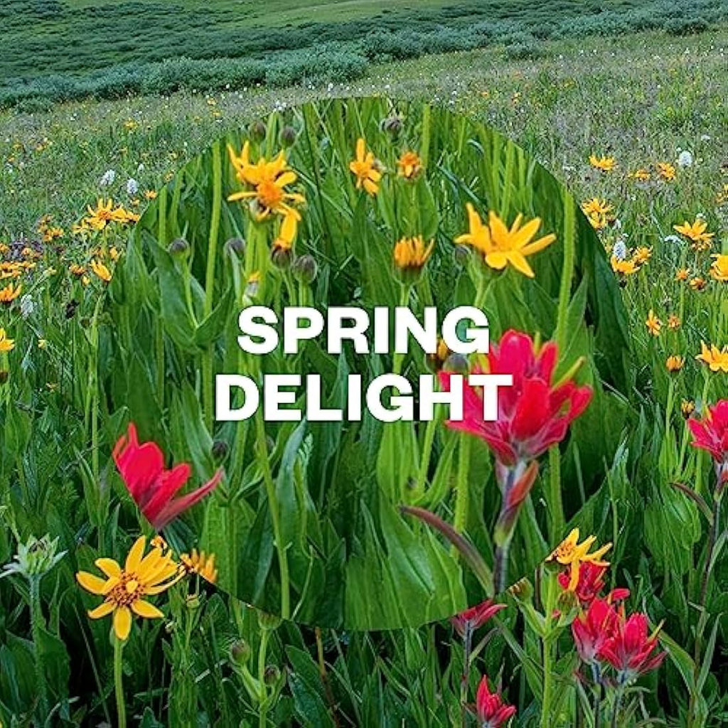 Air Wick Freshmatic Auto Spray Refill - Spring Delight - 250ml (4 Pack)