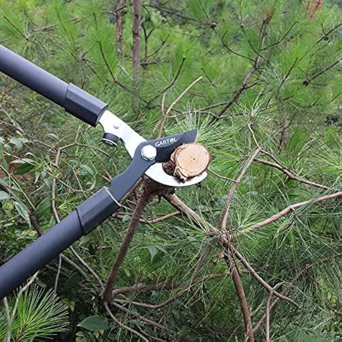 GARTOL 26 Inch Bypass Loppers – Heavy Duty SK-5 Steel Tree Branch Cutter