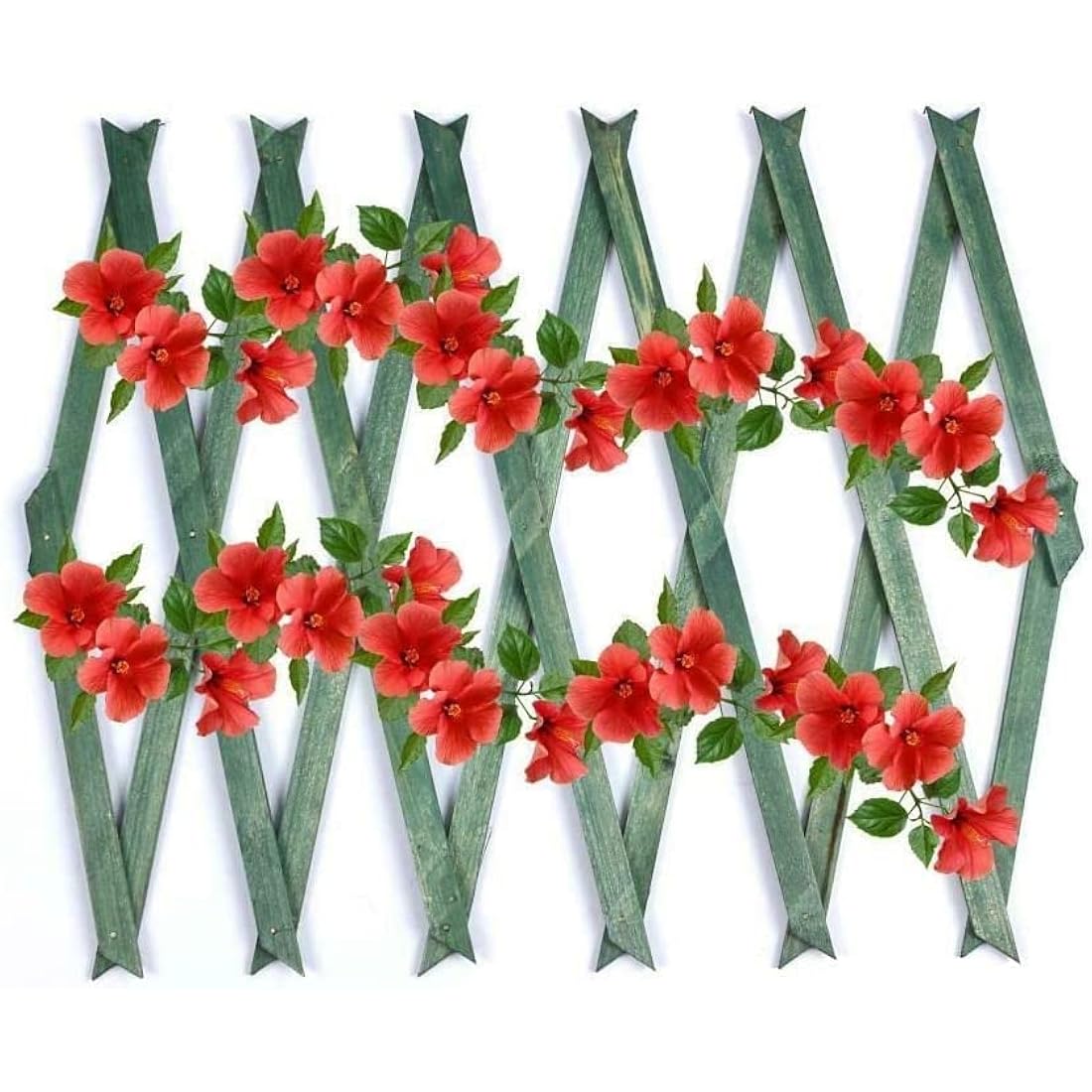 Jolof Store Expanding Wooden Trellis – 6ft Garden Lattice Fence Panel