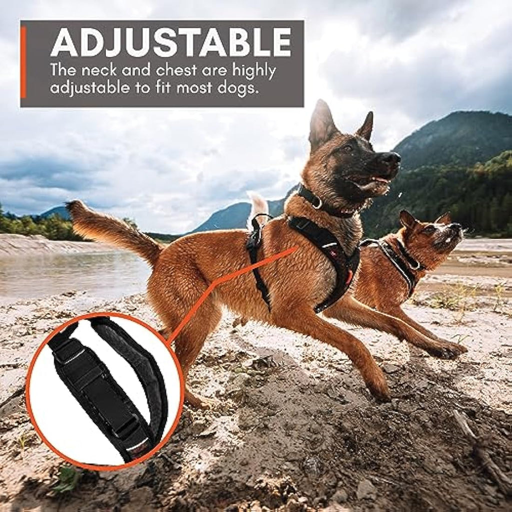 Rock Climbing Harness - Small Safety Gear for Outdoor Sports