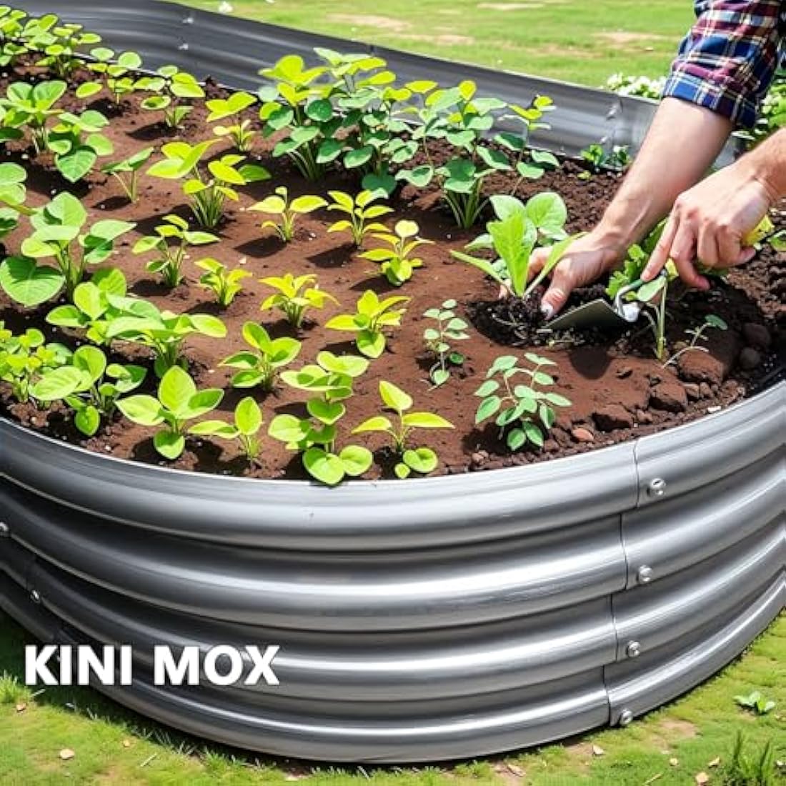 KINI MOX 2-Pack Galvanized Raised Garden Bed with Climbing Stand, 6x3x1ft