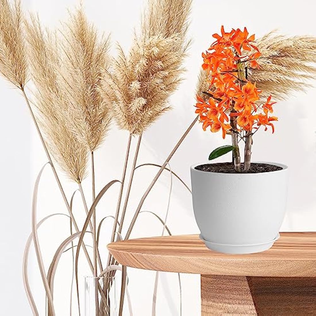 PROFIKLA Plastic Plant Pots with Drainage and Saucers - Set of 3, White