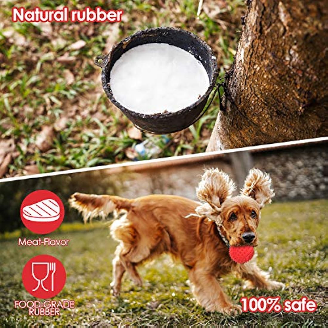 Squeaky Dog Ball – Durable Spiky Toy for Large Breeds