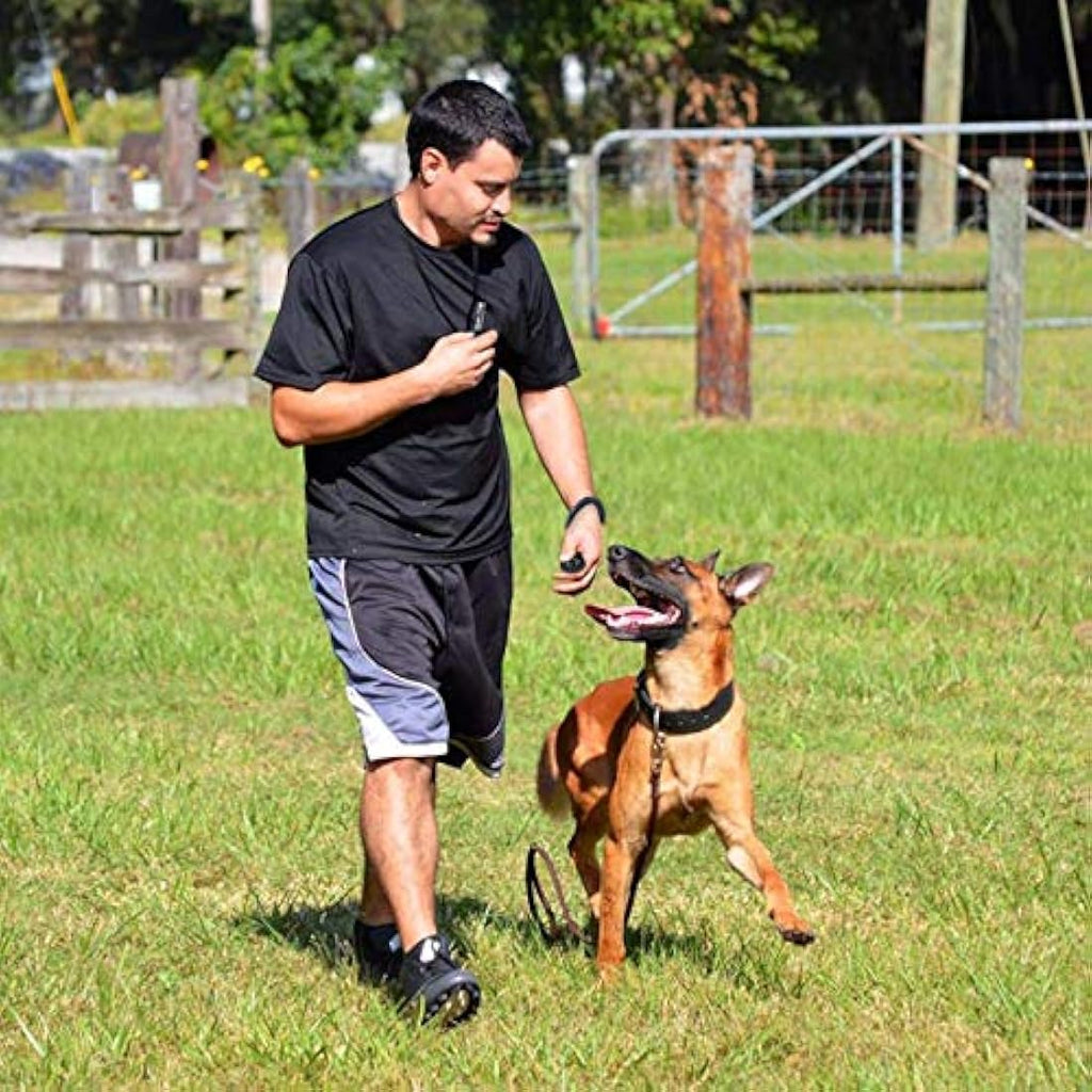 Ultrasonic Dog Whistle and Clicker Set for Training & Recall