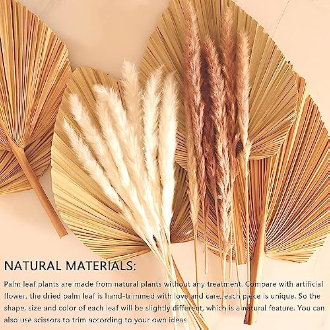 Jolof Store Natural Dried Palm Leaves – 5Pcs Large Boho Wedding Decor