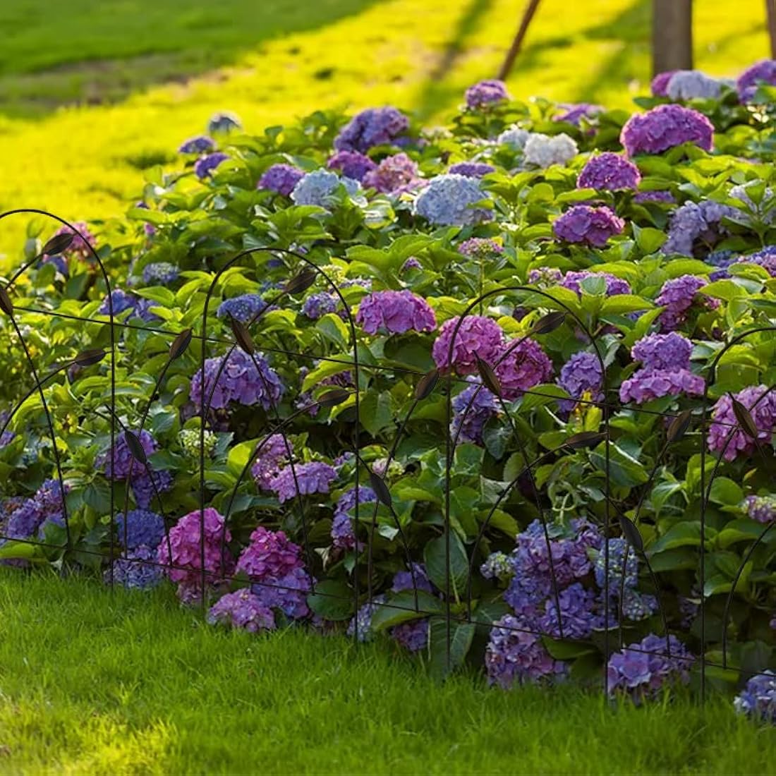 Thealyn Metal Garden Fence – 10 Panels, No-Dig Rustproof Edging, 4.9m