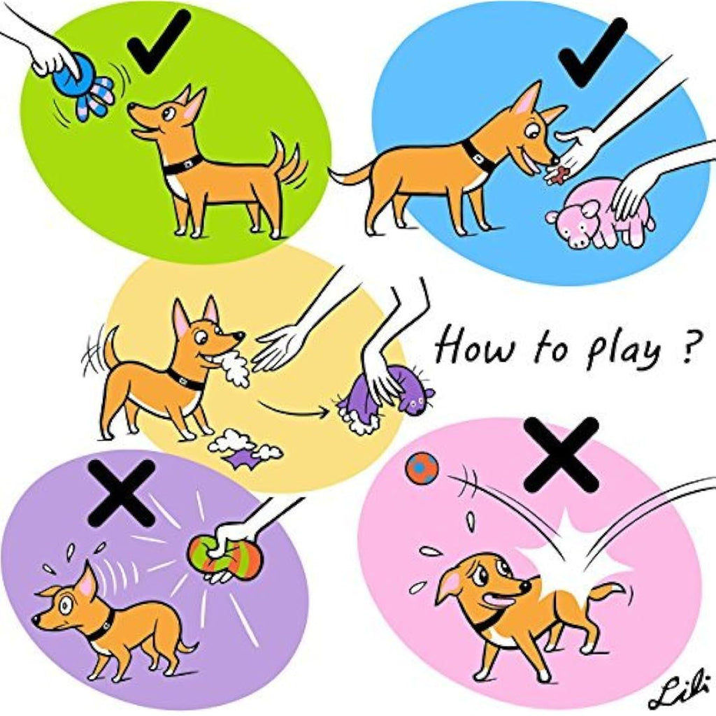 Chiwava Squeaky Latex Dog Footballs | 3-Pack Interactive Fetch Toys