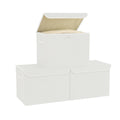 Bagnizer Medium Collapsible Storage Baskets Foldable with Lids 3PCS - image 1