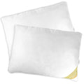 LuxBedCo Mulberry Silk Pillows 2 Pack – Soft Hotel Bedding Set