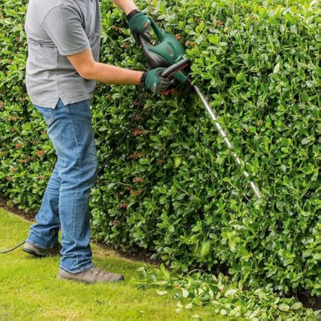 Bosch UniversalHedgeCut 50 – 480W Electric Hedge Trimmer, 50cm Blade