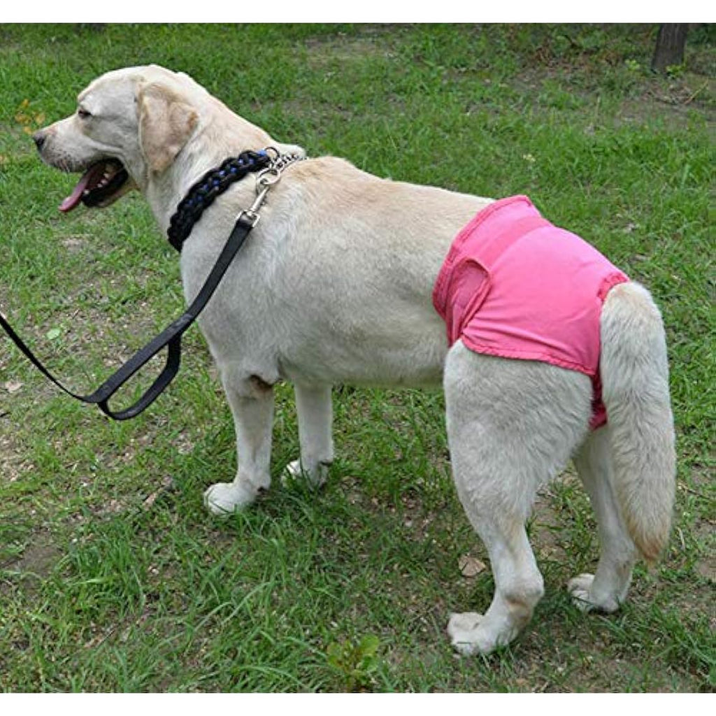 Diyafas Reusable Female Dog Diapers – 2 Pack Washable Sanitary Pants