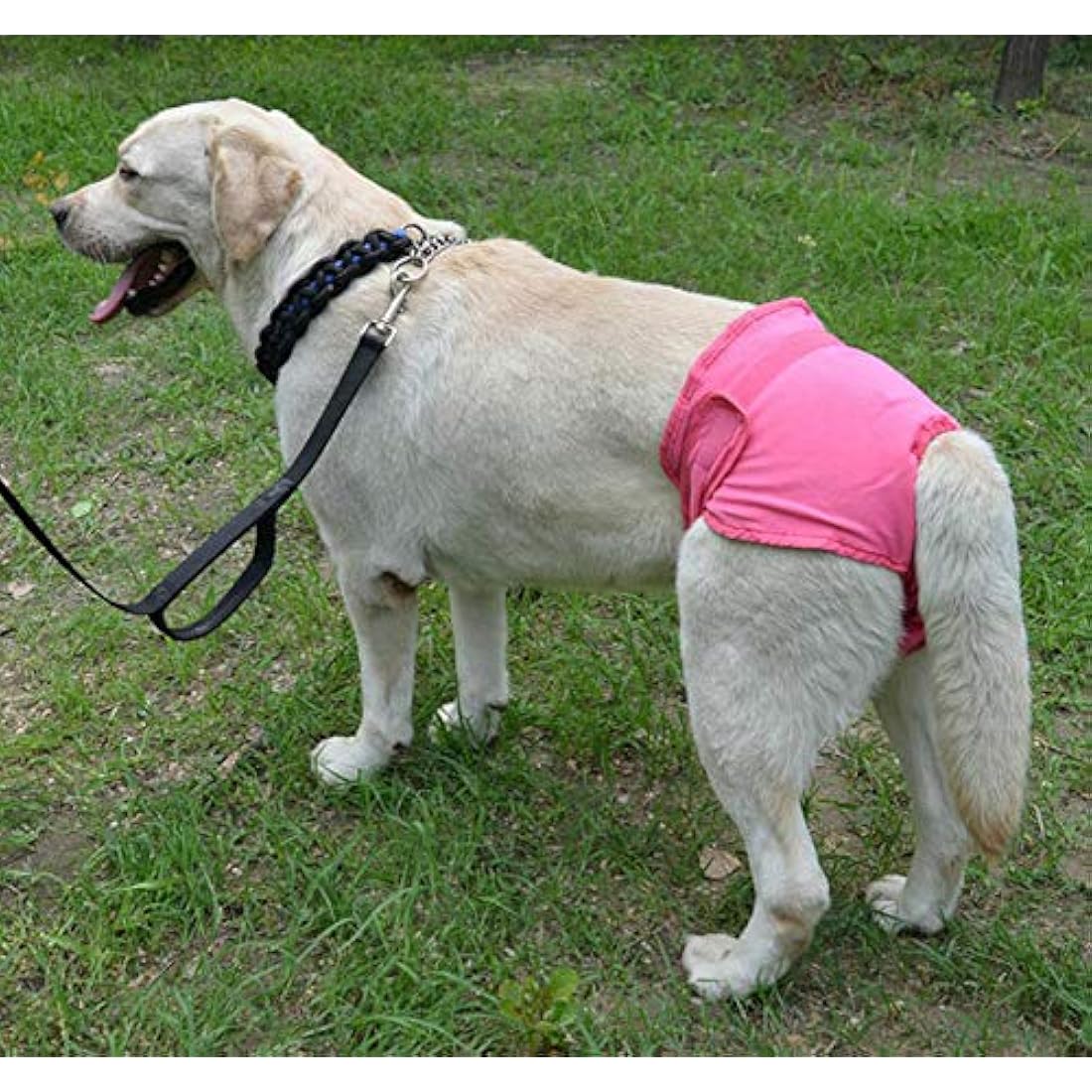 Diyafas Reusable Female Dog Diapers – 2 Pack Washable Sanitary Pants