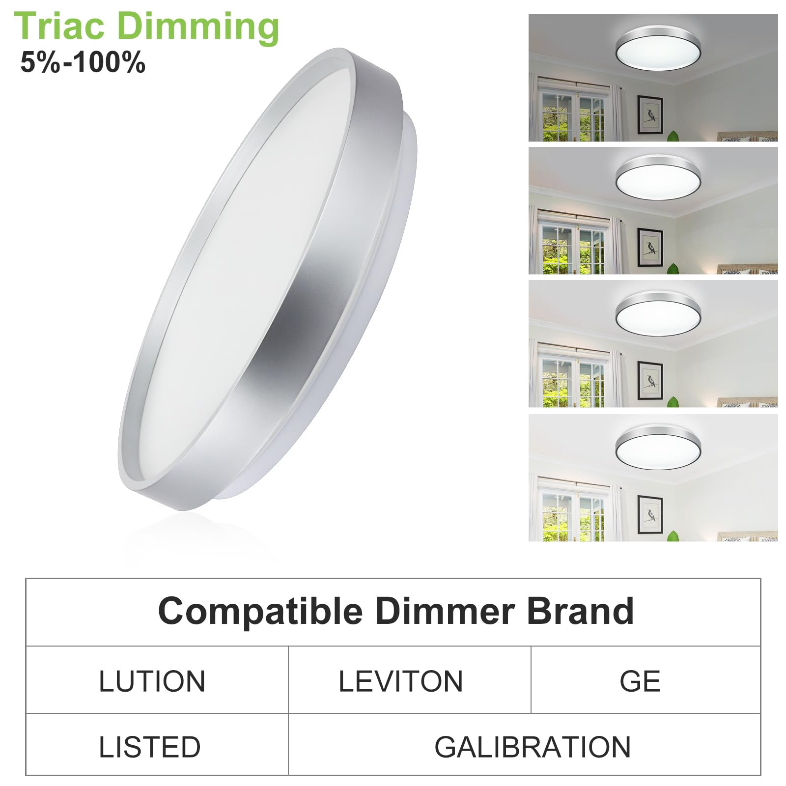 DINGLILIGHTING 24W LED Flush Mount Ceiling Light | 13 Inch Silver Fixture