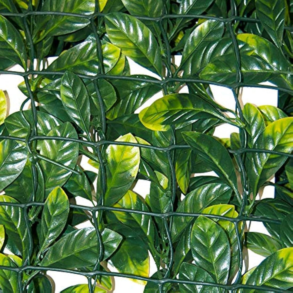 Tenax Divy 3D Plus Laurus - Synthetic Hedge Roll for Privacy, 1.5x3m