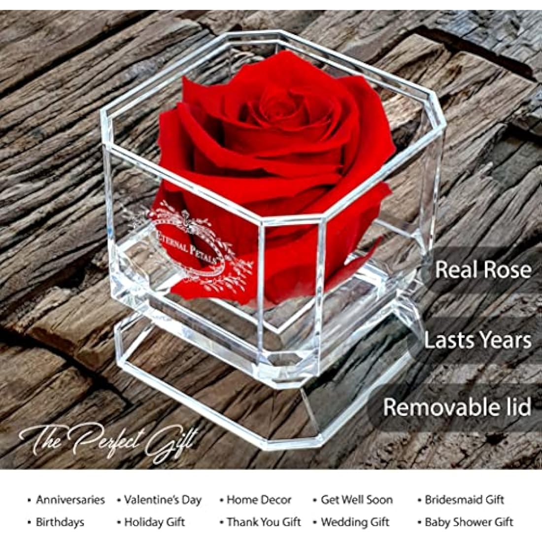 Eternal Petals Red Preserved Infinity Rose – Handmade White Gold Solo