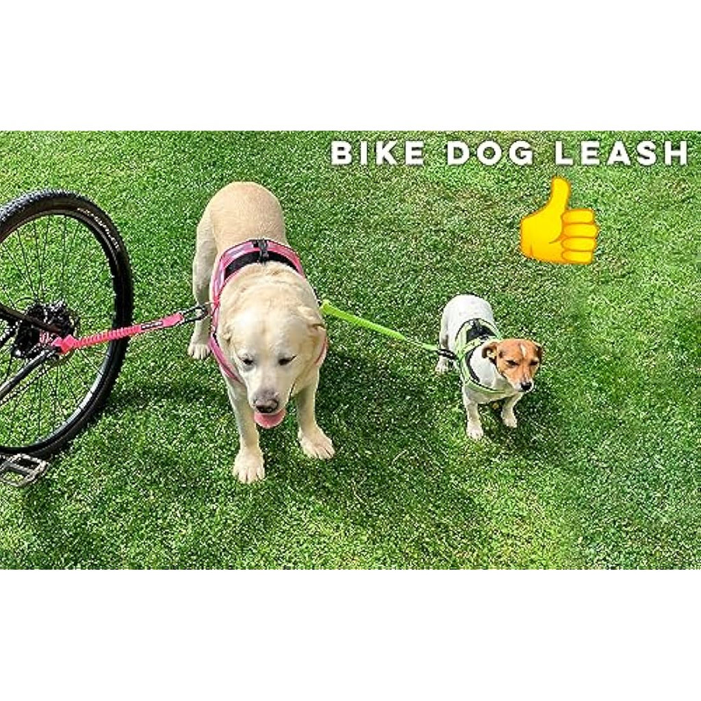 Jolof Store Dog Bike Leash – Tool-Free Hands-Free Attachment (Pink)