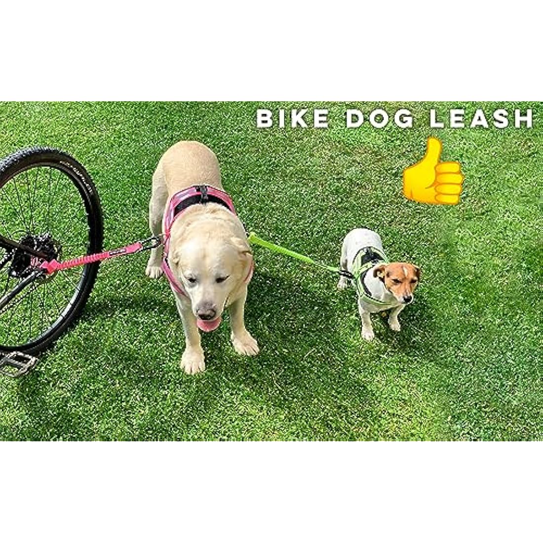 Jolof Store Dog Bike Leash – Tool-Free Hands-Free Attachment (Pink)