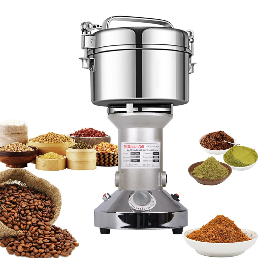 LEJIEYIN Electric Grain Mill | 750g Stainless Steel Spice Grinder, 2000W