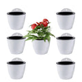 ShoppeWatch 7-Pack Self Watering Wall Planters - 5 Inch Hanging Pots