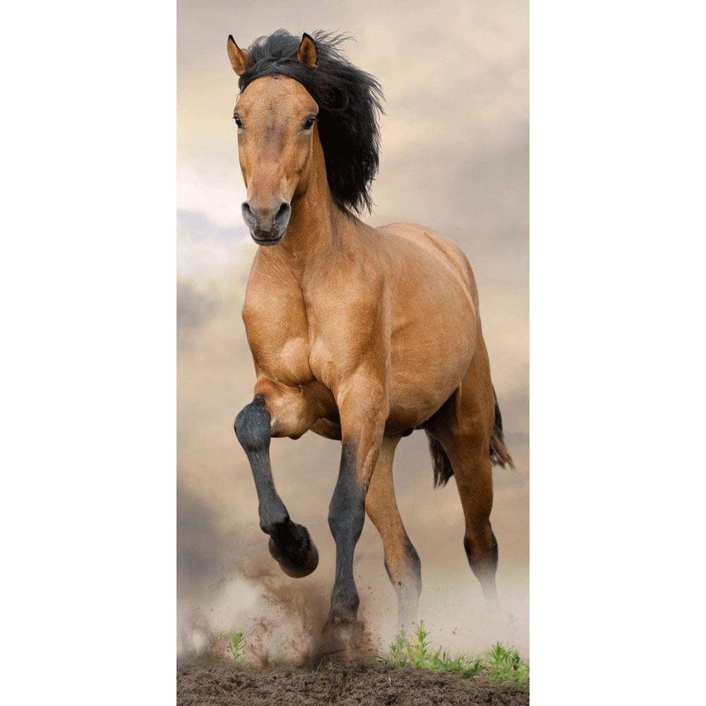 Jerry Fabrics Horse Beach Towel – 100% Cotton Stallion Bath Towel