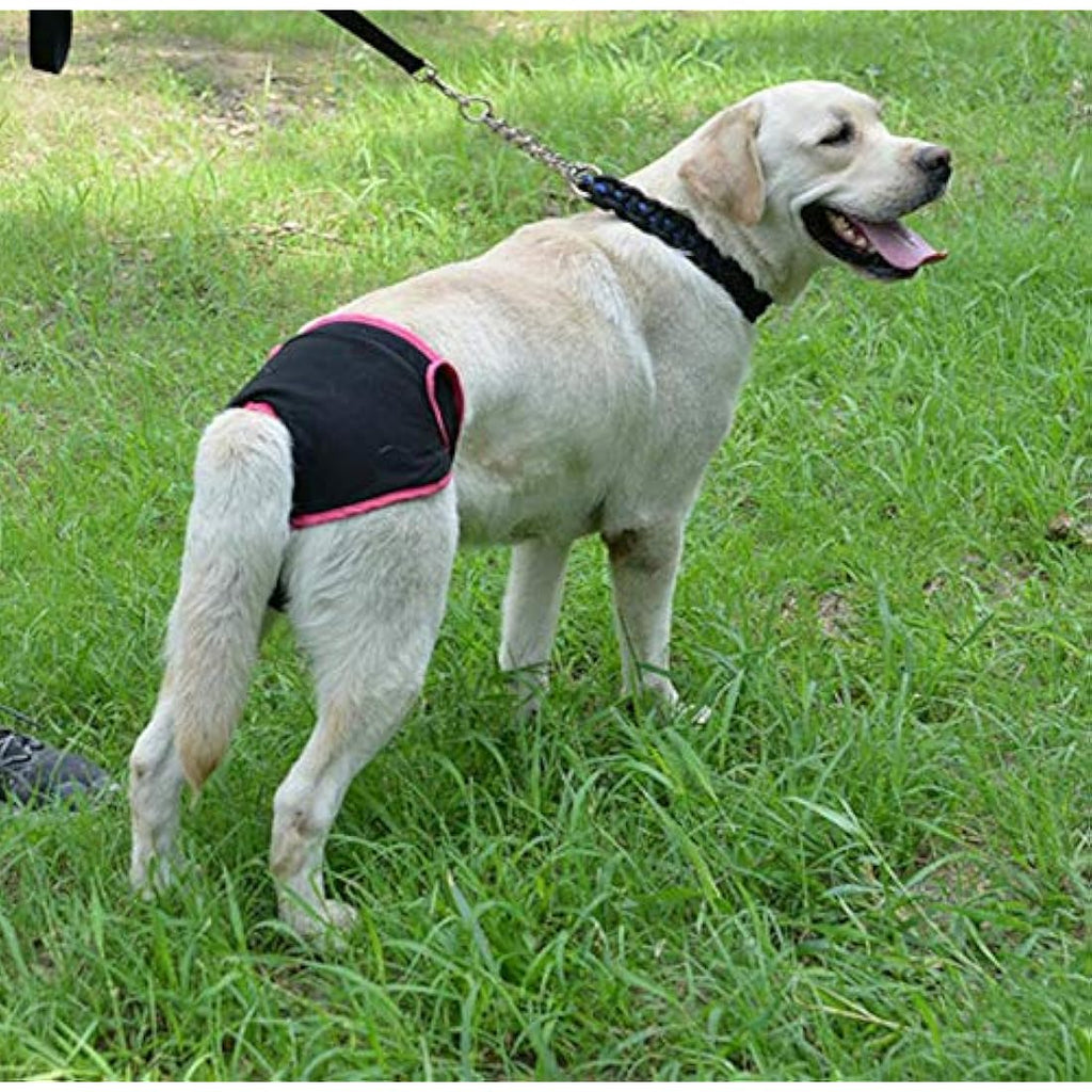 Diyafas Reusable Female Dog Diapers – 2 Pack Washable Sanitary Pants