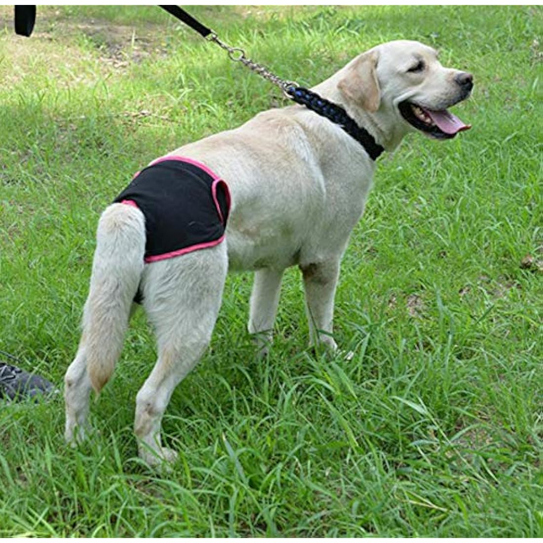 Diyafas Reusable Female Dog Diapers – 2 Pack Washable Sanitary Pants