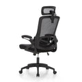 ALPHA HOME Ergonomic Mesh Office Chair | Adjustable Lumbar & Headrest