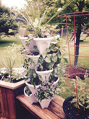 Mr. Stacky 5-Tier Vertical Planter – Stackable Indoor & Outdoor Garden