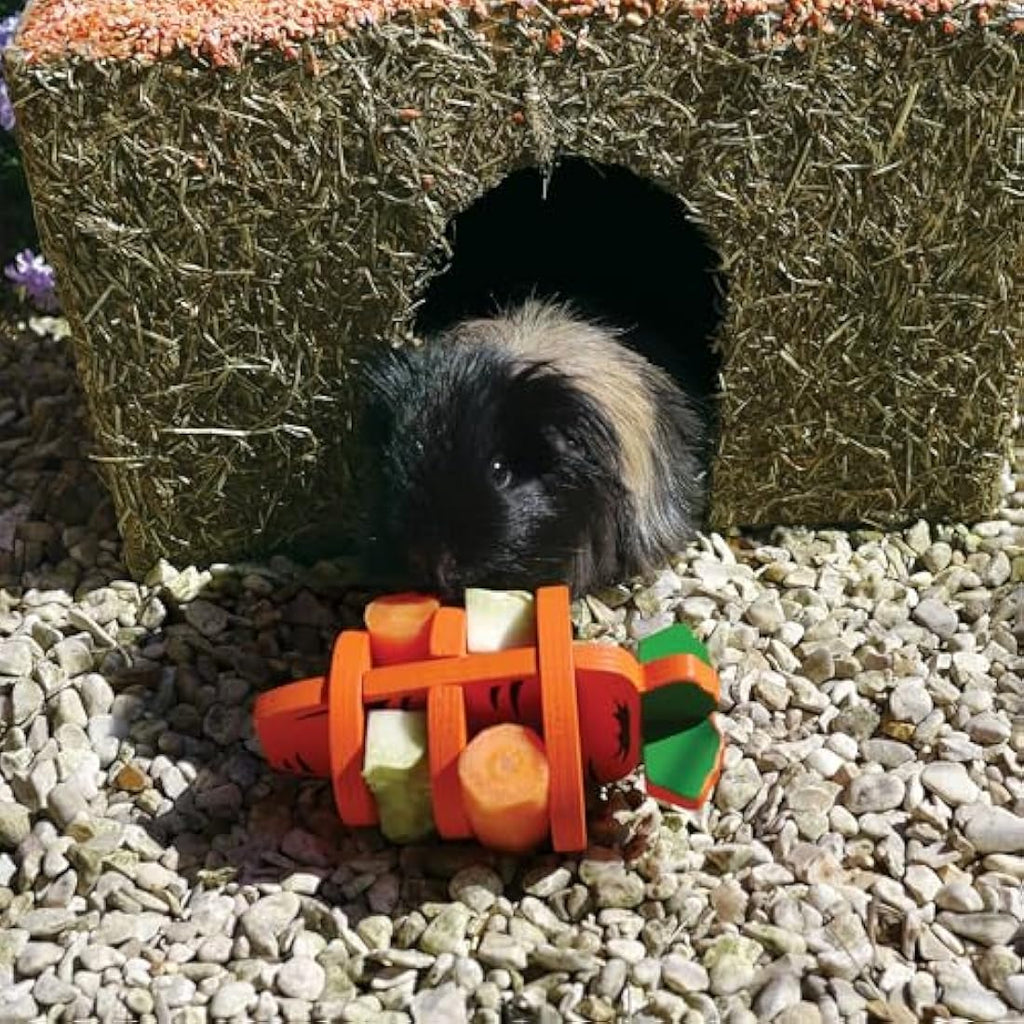 Rosewood Naturals Large Carrot Cottage | Edible Hay Hideout for Rabbits