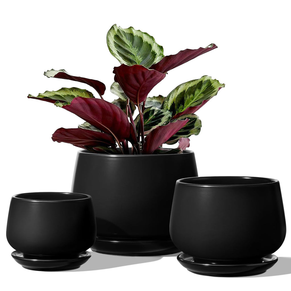 LE TAUCI Ceramic Plant Pots - Set of 3 Modern Indoor Planters with Saucers