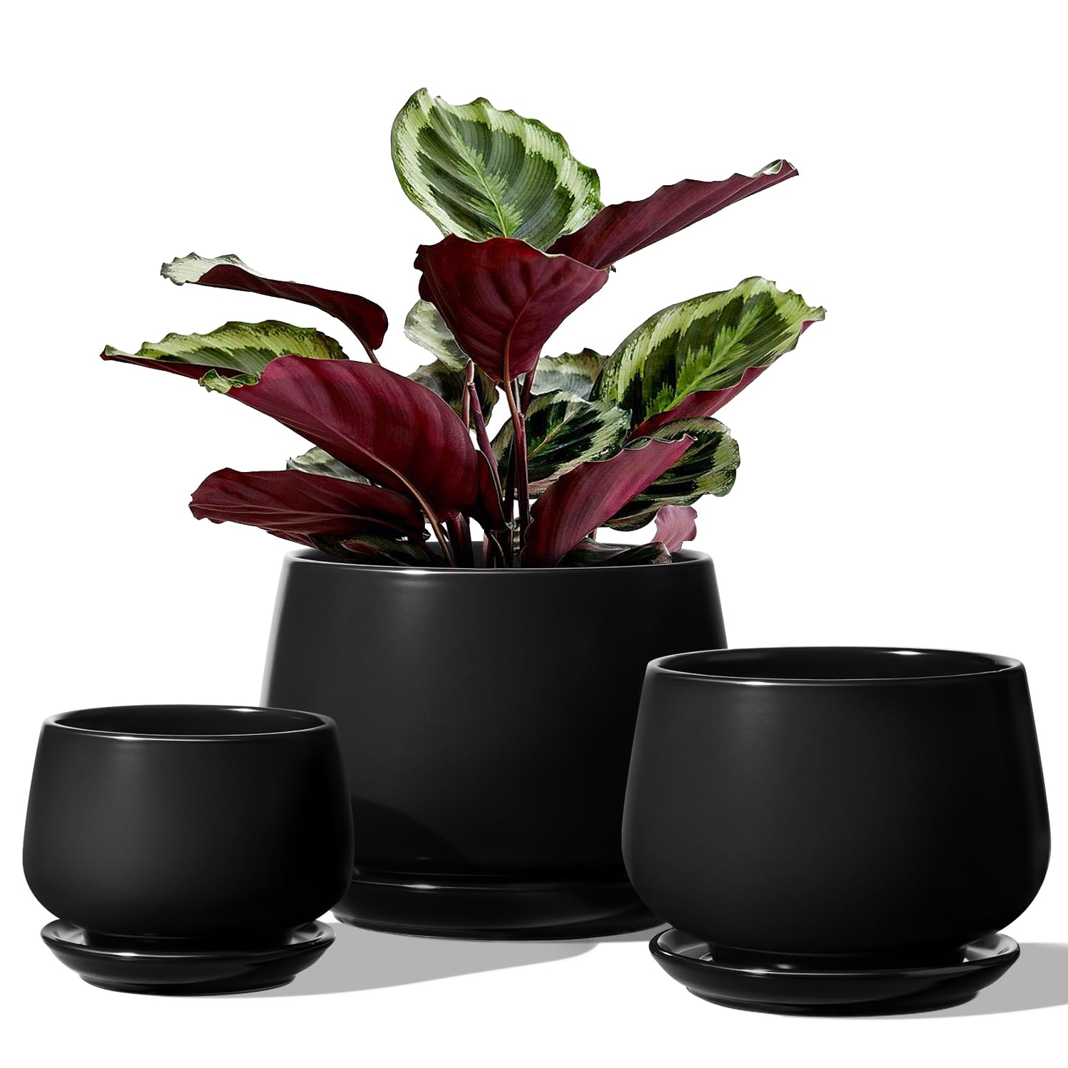 LE TAUCI Ceramic Plant Pots - Set of 3 Modern Indoor Planters with Saucers
