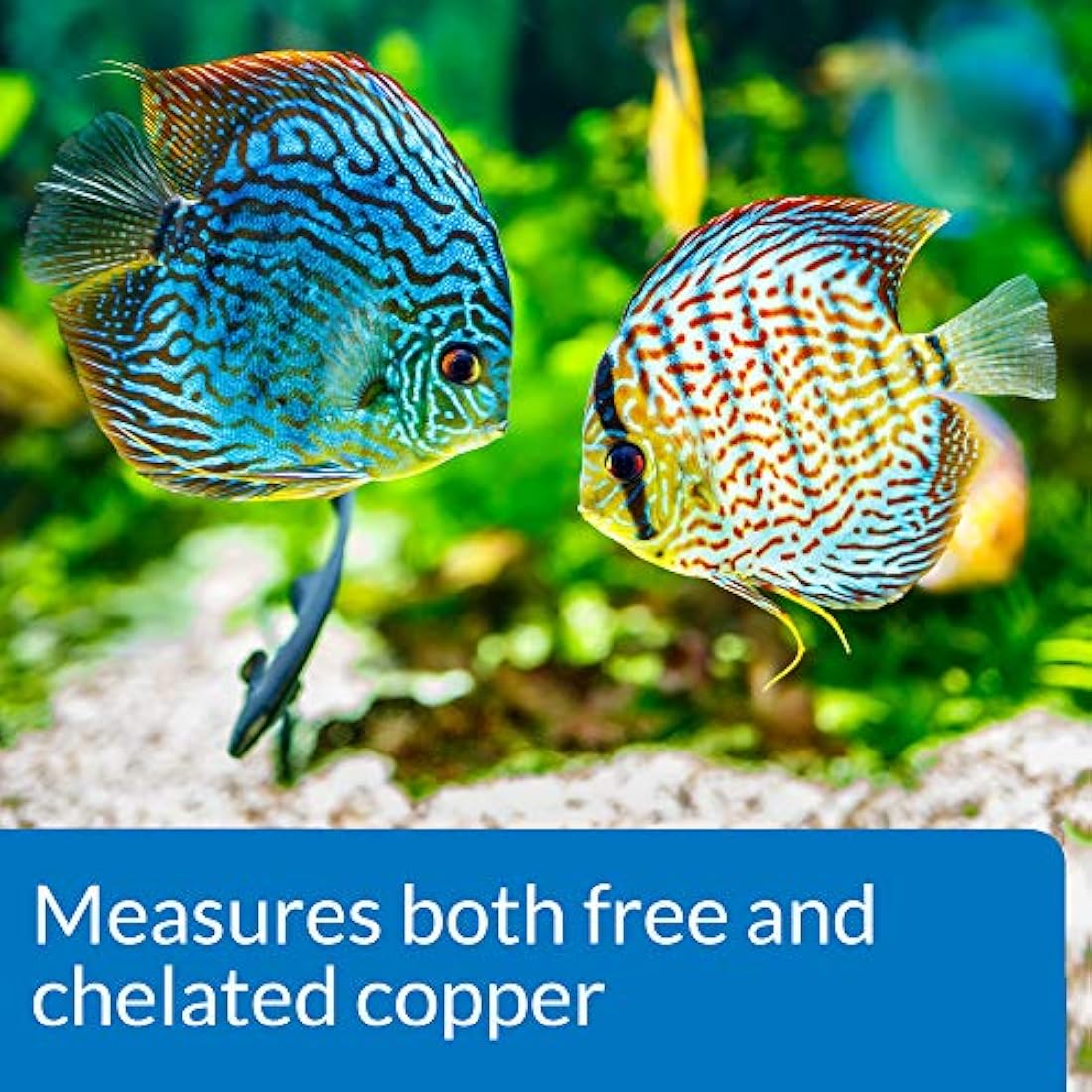 API Copper Test Kit – 90-Test Aquarium Water Quality Monitor