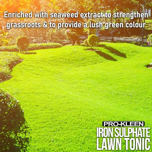 Pro-Kleen Iron Sulphate Lawn Tonic - Liquid Grass Fertilizer (5 Litres)