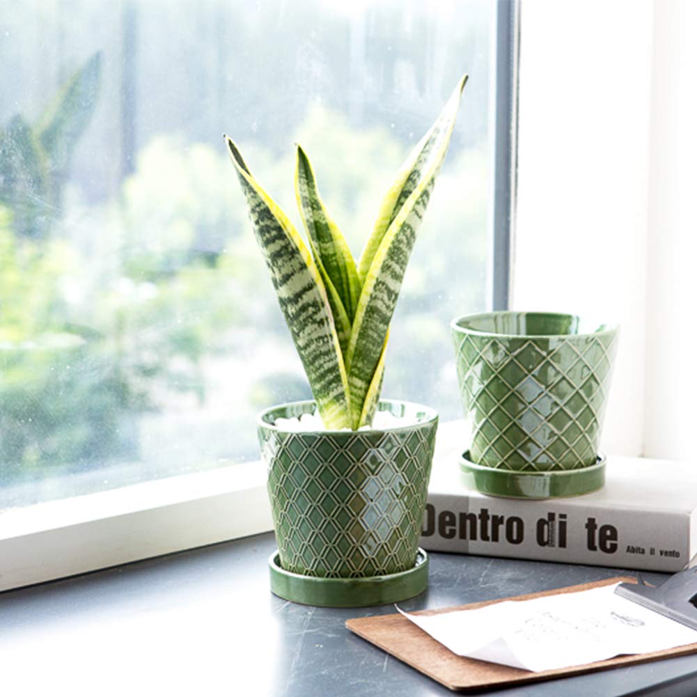 Jolof Store 5-Inch Ceramic Plant Pots with Drainage Hole and Tray – 4 Pack
