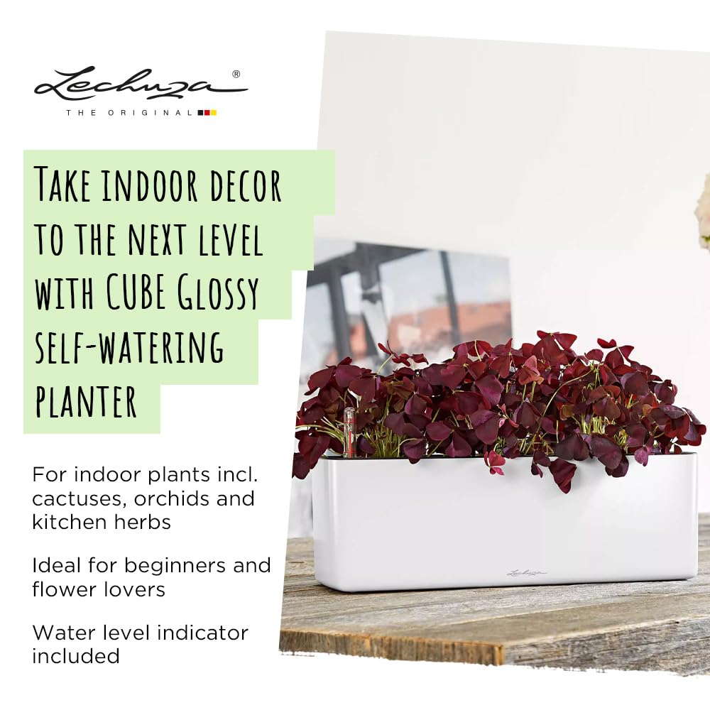 LECHUZA CUBE Glossy Triple Self-Watering Indoor Planter - Red Plastic