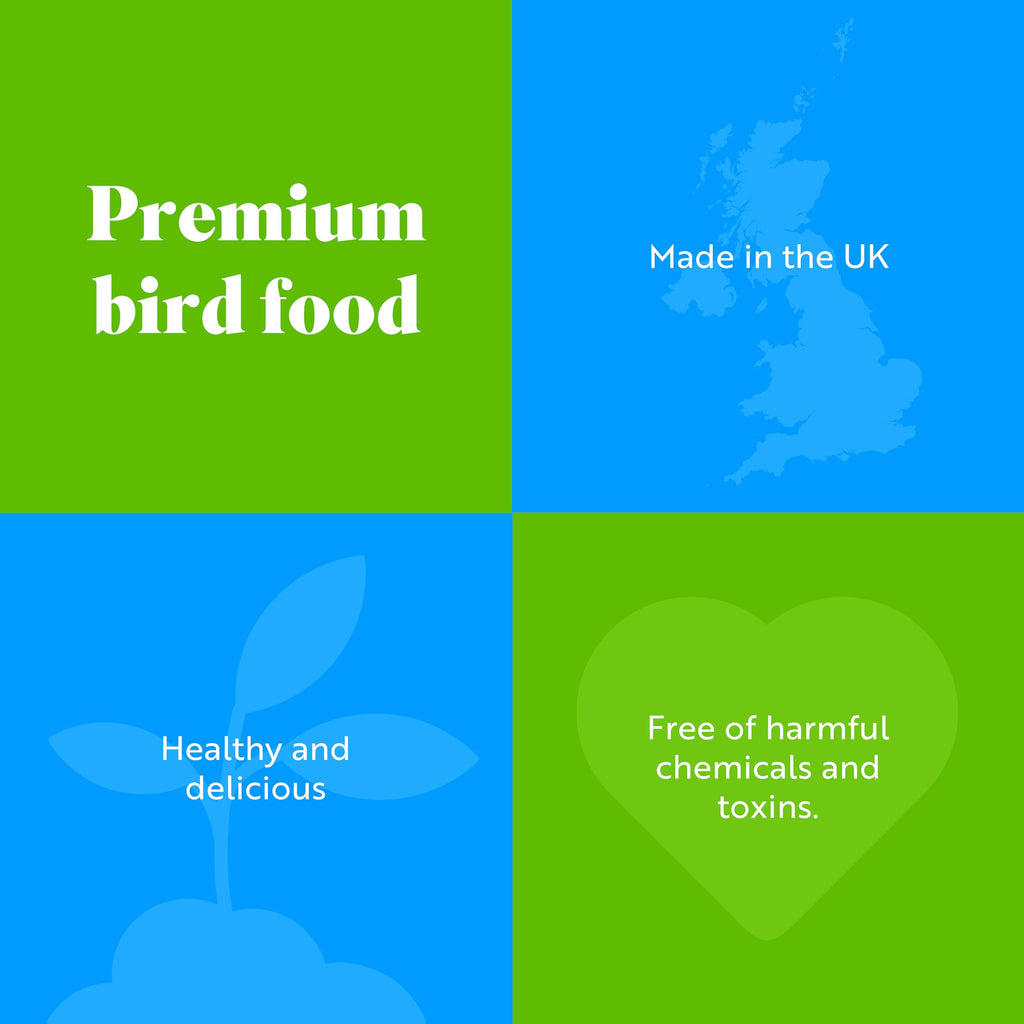 RSPB Peanuts for Wild Birds - High Energy Protein Bird Food - 12.75kg